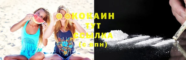 твердый Абаза