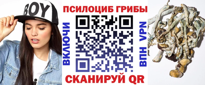 Псилоцибиновые грибы Psilocybe Бавлы