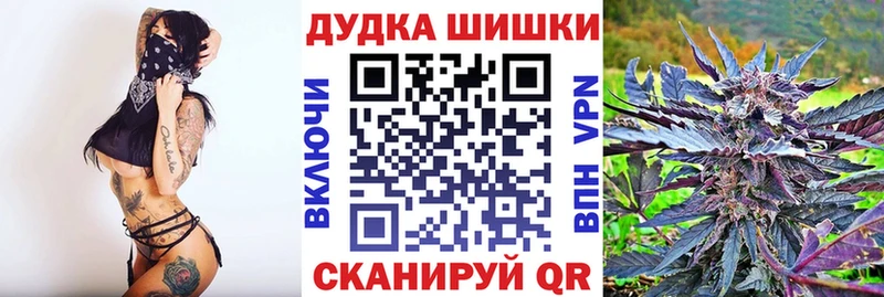Шишки марихуана SATIVA & INDICA  сколько стоит  Бавлы 